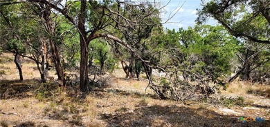 UNBELIEVABLE Hill Country Views from this 1.08 +/- Acre lot in - photo 9