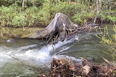 This rare 7.79 acre in-city parcel offers year-round Little Sand - photo 11
