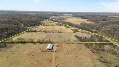 (private lake, pond, creek) Acreage For Sale in Goodman Missouri