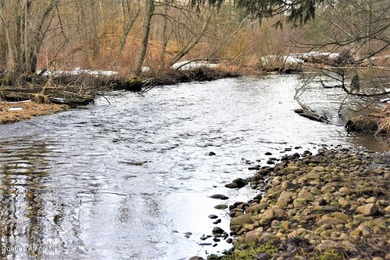 This rare 7.79 acre in-city parcel offers year-round Little Sand - photo 14