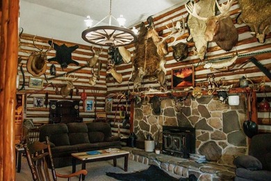 Turnkey, furnished, and unforgettable-this two-story log cabin - photo 15