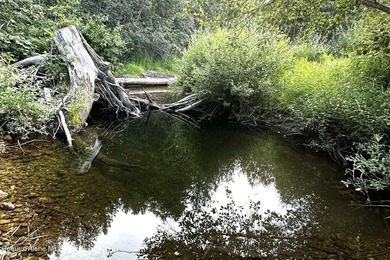 This rare 7.79 acre in-city parcel offers year-round Little Sand - photo 16