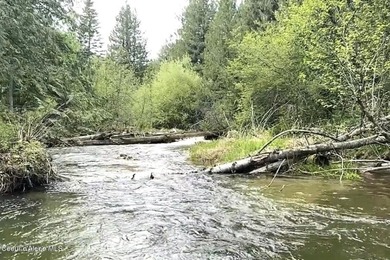 This rare 7.79 acre in-city parcel offers year-round Little Sand - photo 19