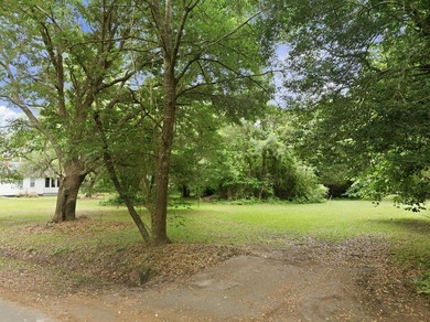 Welcome to 135 Scotia Street in the heart of McClellanville, a - photo 1