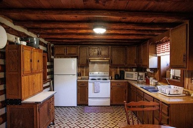 Turnkey, furnished, and unforgettable-this two-story log cabin - photo 24