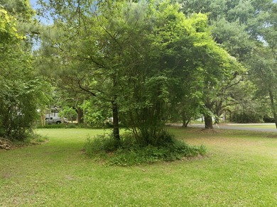 Welcome to 135 Scotia Street in the heart of McClellanville, a - photo 5