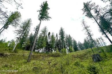 This rare 7.79 acre in-city parcel offers year-round Little Sand - photo 26