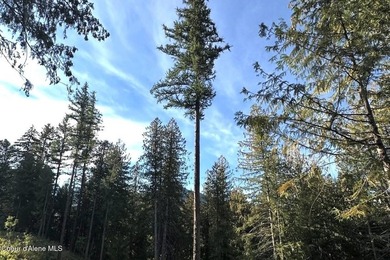 This rare 7.79 acre in-city parcel offers year-round Little Sand - photo 29