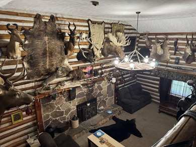 Turnkey, furnished, and unforgettable-this two-story log cabin - photo 31