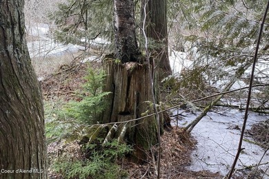 This rare 7.79 acre in-city parcel offers year-round Little Sand - photo 37