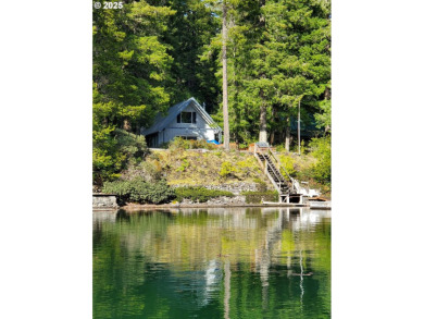 Lake Home For Sale in Cougar, Washington