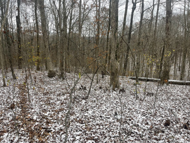 This is a NICE LOT! - Lake Acreage For Sale in Monticello, Kentucky