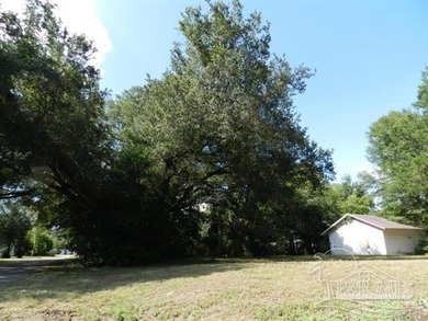 This lot has 100ft frontage on beverly parkway, 298ft on cary - photo 3