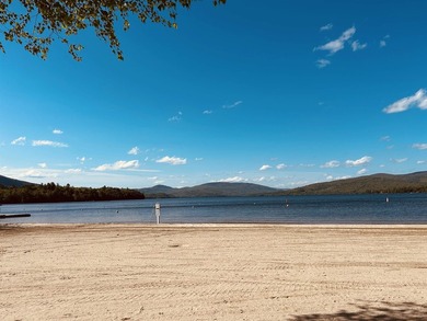 Bristol Shores is a gated lakefront community offering exclusive - photo 11