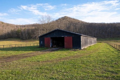 263.302 surveyed acres of Kentucky farm ground bordered by Red - photo 11