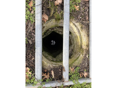 263.302 surveyed acres of Kentucky farm ground bordered by Red - photo 14
