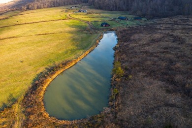 263.302 surveyed acres of Kentucky farm ground bordered by Red - photo 28