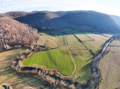 263.302 surveyed acres of Kentucky farm ground bordered by Red - photo 30