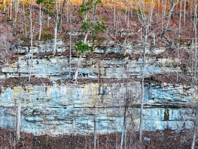 263.302 surveyed acres of Kentucky farm ground bordered by Red - photo 31