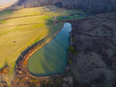 263.302 surveyed acres of Kentucky farm ground bordered by Red - photo 32