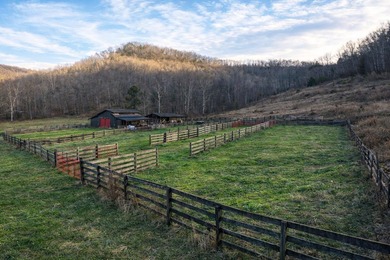 263.302 surveyed acres of Kentucky farm ground bordered by Red - photo 34