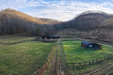 263.302 surveyed acres of Kentucky farm ground bordered by Red - photo 35