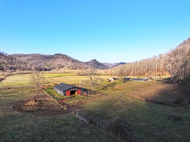 263.302 surveyed acres of Kentucky farm ground bordered by Red - photo 37