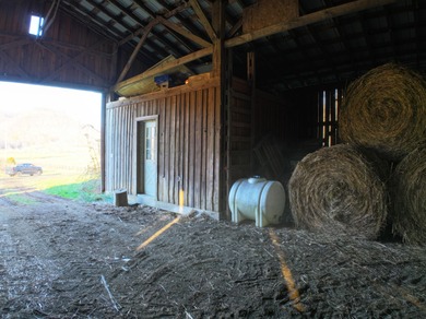 263.302 surveyed acres of Kentucky farm ground bordered by Red - photo 39