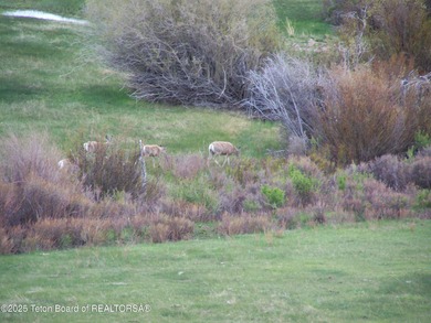 This 520 acre property offers everything Wyoming has to offer - photo 39
