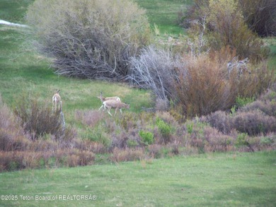 This 520 acre property offers everything Wyoming has to offer - photo 40