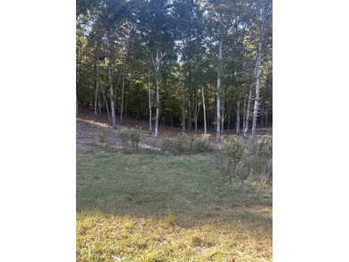 Lake Blue Ridge Lot For Sale in Morganton Georgia