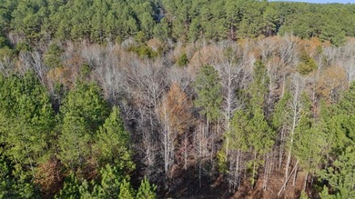 Broken Bow Lake Lot For Sale in Broken Bow Oklahoma