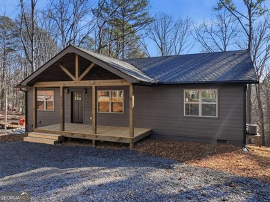 Coosawattee River Home For Sale in Ellijay Georgia