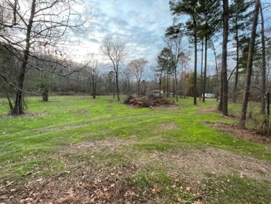 Lake Acreage For Sale in Bismark, Arkansas
