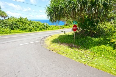 Lightly wooded lot across the street from the ocean available in - photo 11