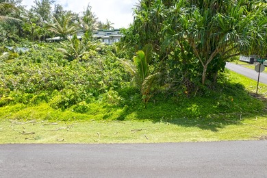Lightly wooded lot across the street from the ocean available in - photo 13