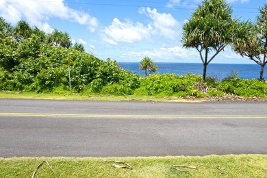 Lightly wooded lot across the street from the ocean available in - photo 14