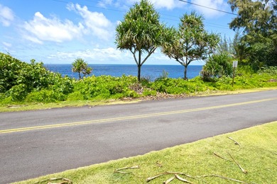 Lightly wooded lot across the street from the ocean available in - photo 15