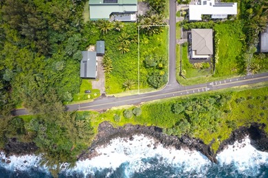 Lightly wooded lot across the street from the ocean available in - photo 19