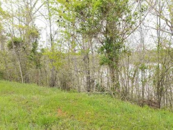 Lake Lot Off Market in Decatur, Tennessee