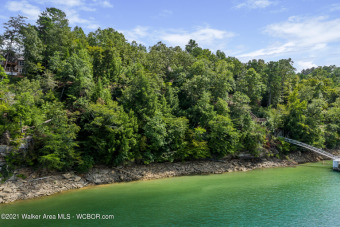SMITH LAKE (BRUSHY CREEK):  Located in the Brushy Creek Pointe - Lake Lot For Sale in Arley, Alabama