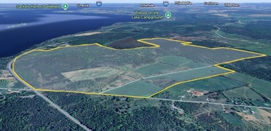 An estate sized property awaits you near the shores of Lake - photo 2