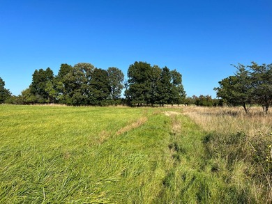 An estate sized property awaits you near the shores of Lake - photo 6