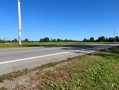An estate sized property awaits you near the shores of Lake - photo 9
