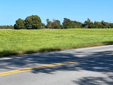 An estate sized property awaits you near the shores of Lake - photo 10