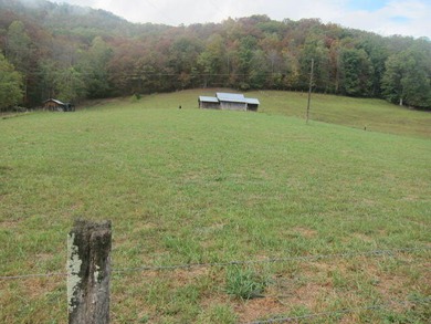 Exceptional investment property offering two homes, a barn, and - photo 60
