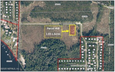 Georges Lake Lot For Sale in Florahome Florida
