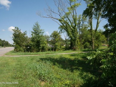 1735 Hwy 411 - photo 3