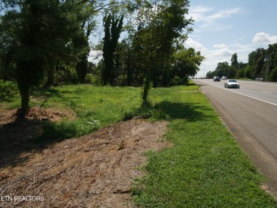 1735 Hwy 411 - photo 4