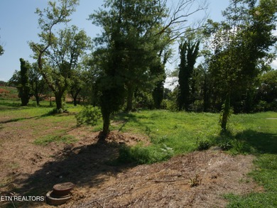 1735 Hwy 411 - photo 5